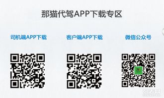 就在那貓代駕 全場景專業(yè)代駕服務專家