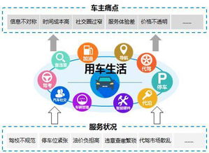 精讀藍皮書 2016年中國汽車工具類移動App專題研究——代駕服務崛起篇